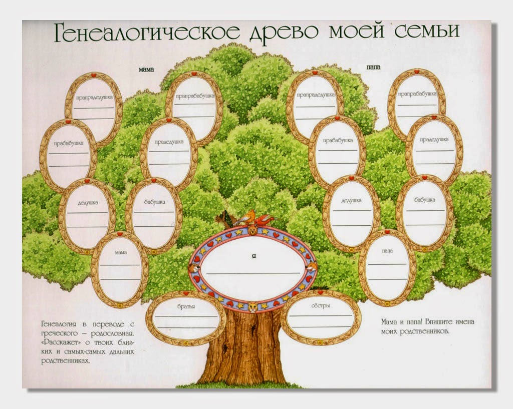 Бавлинский муниципальный район